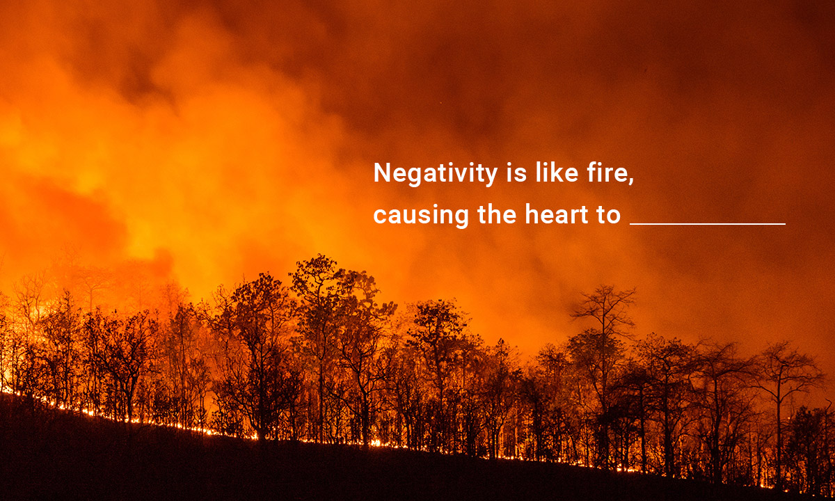 Negative Thinking|Lotus Recollections