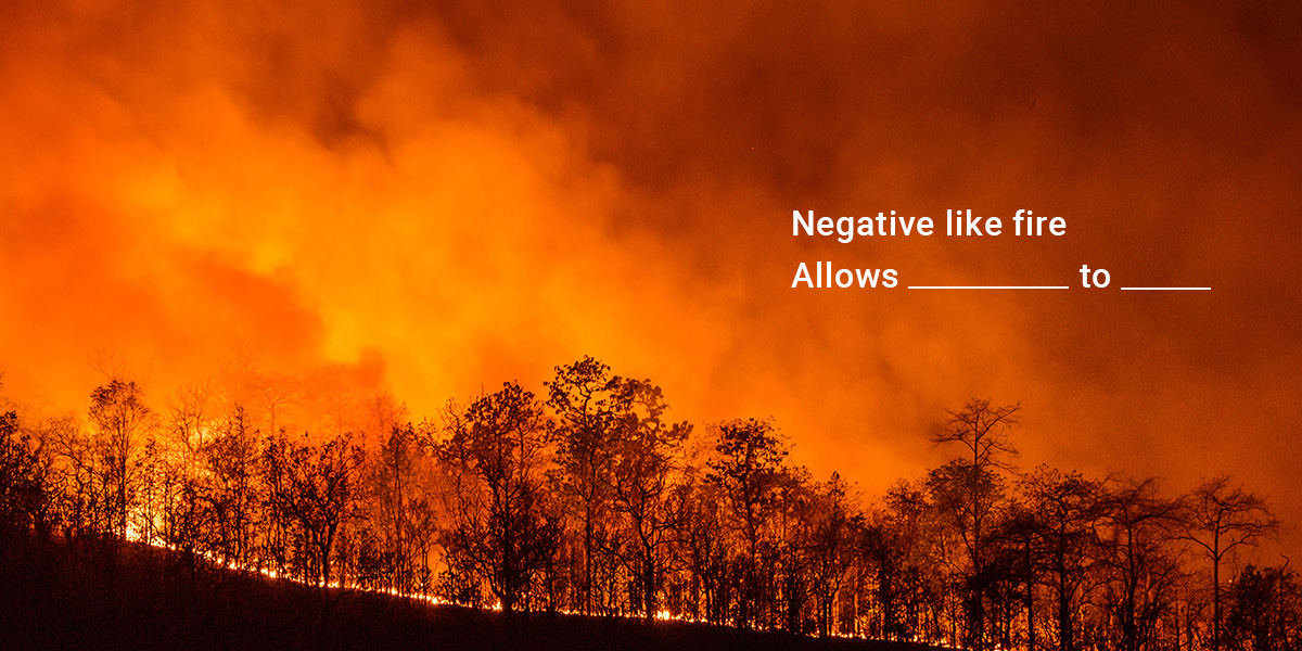 Negative Thoughts|Lotus Recollections